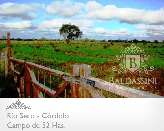CAMPO DE 52 HECTÁREAS EN PARAJE PUESTO DE LA VIUDA / RÍO SECO / CÓRDOBA / ARGENTINA - 2