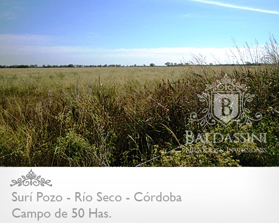 CAMPO DE 50 HECTÁREAS EN SURÍ POZO / RÍO SECO / CÓRDOBA / ARGENTINA. PARTE DESMONTADO - 2