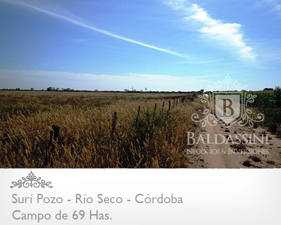69 HECTÀREAS EN SURÌ POZO / SEBASTIÀN ELCANO / RÌO SECO / CÒRDOBA / ARGENTINA - 1