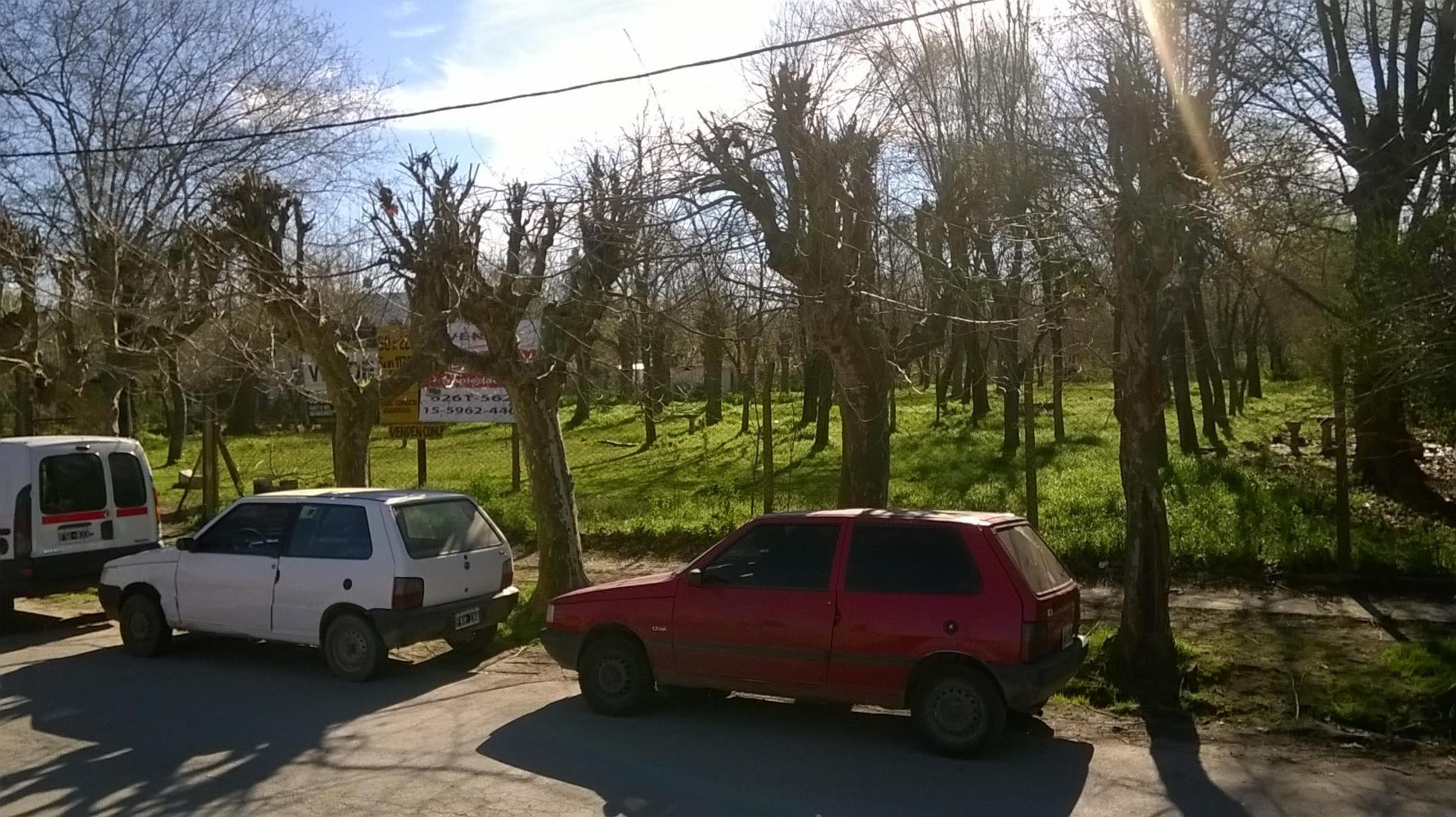Lote en Venta - Dique Lujan - Villa la Ñata - Sobre Canal Villanueva — foto 3