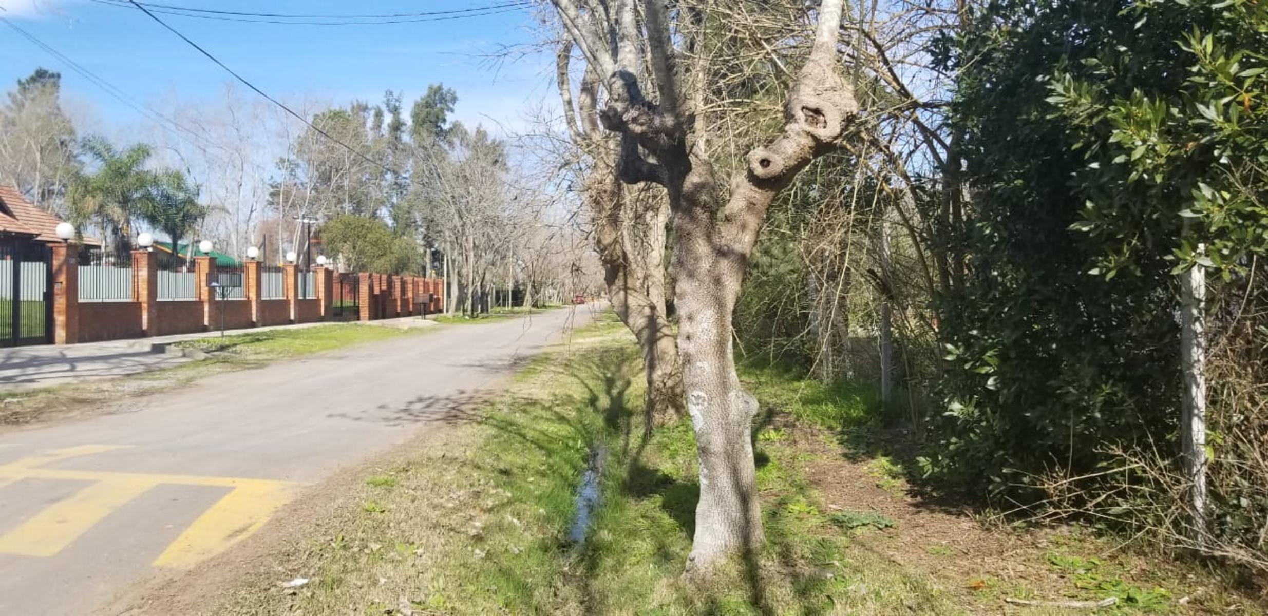 FRACCION de 3724 mts en calle Reconquista - Dique Lujan — foto 3