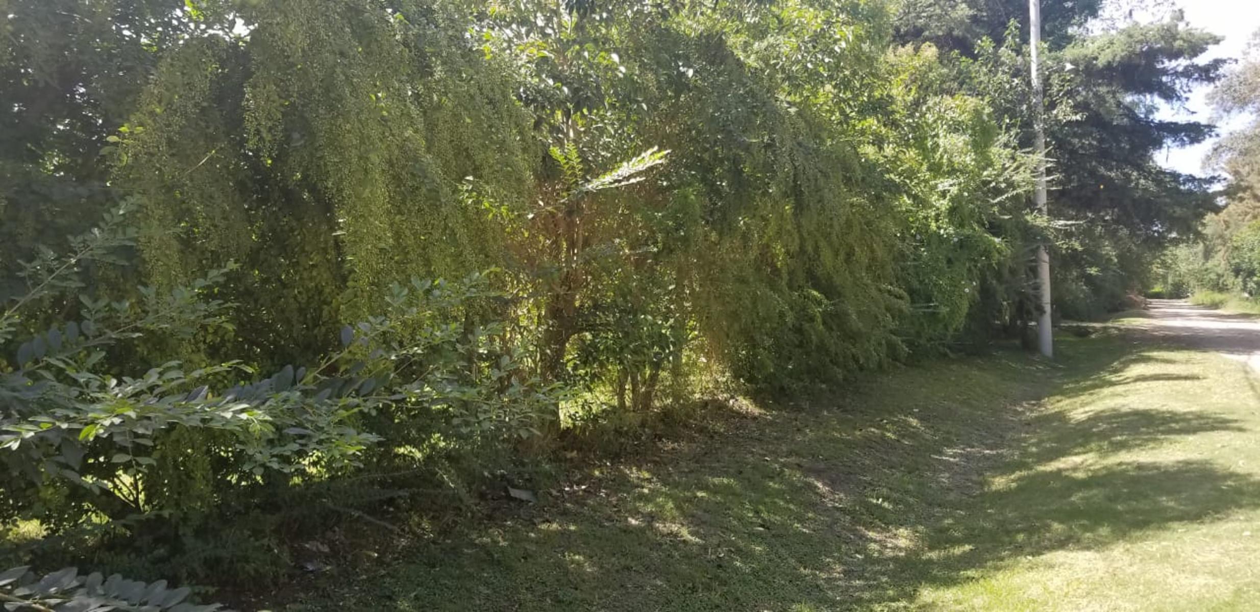 LOTE DE 833M² EN LA BOTA - ING. MASCHWITZ — foto 3