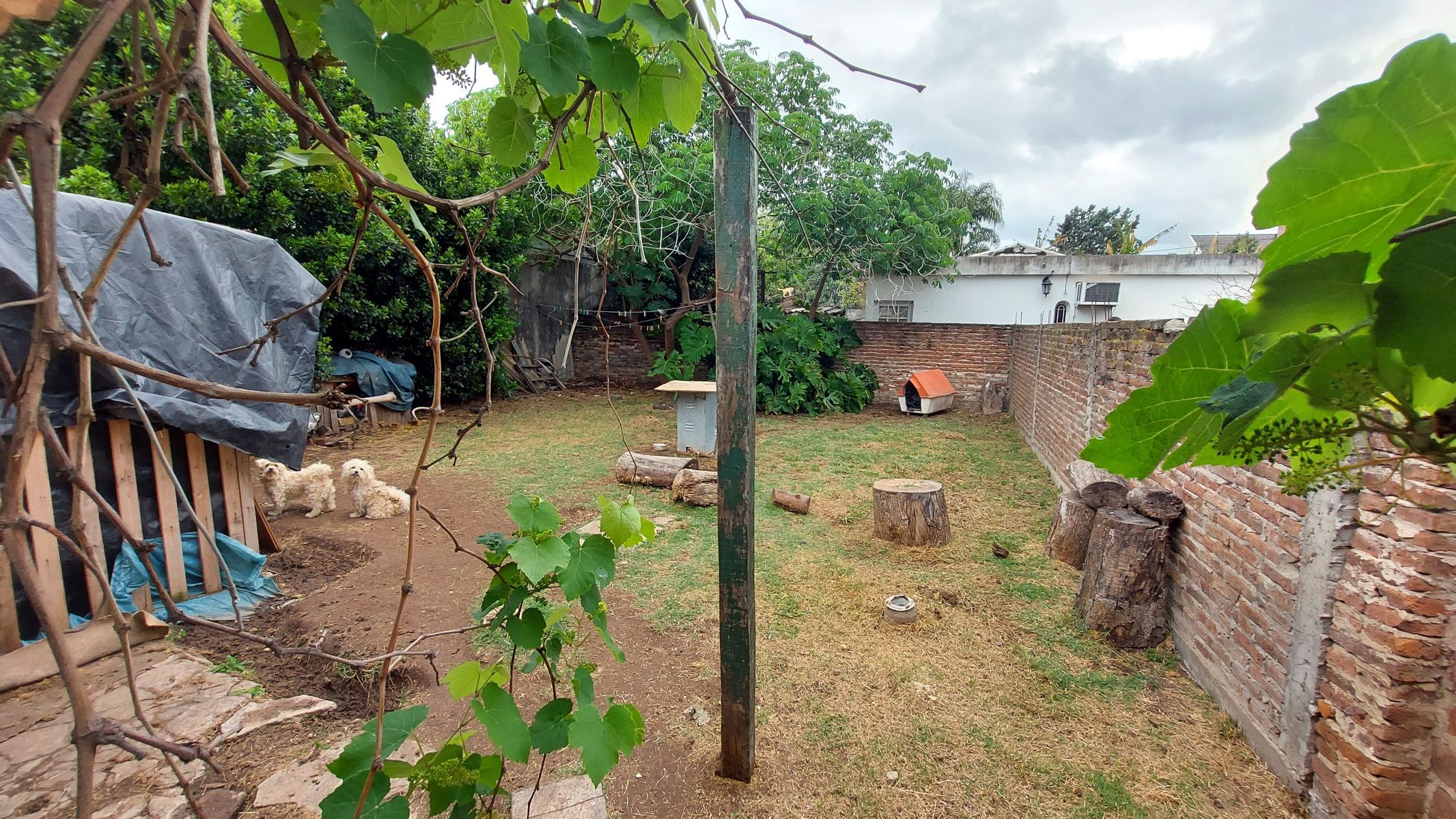 CASA A REFACCIONAR SOBRE LOTE PROPIO DE 10 X 25 — foto 8