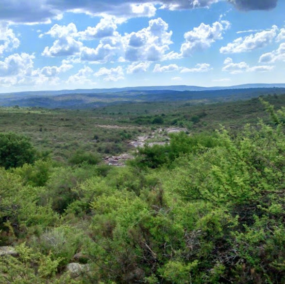 LOTES CON VISTAS A LAS SIERRAS DE CORDOBA
