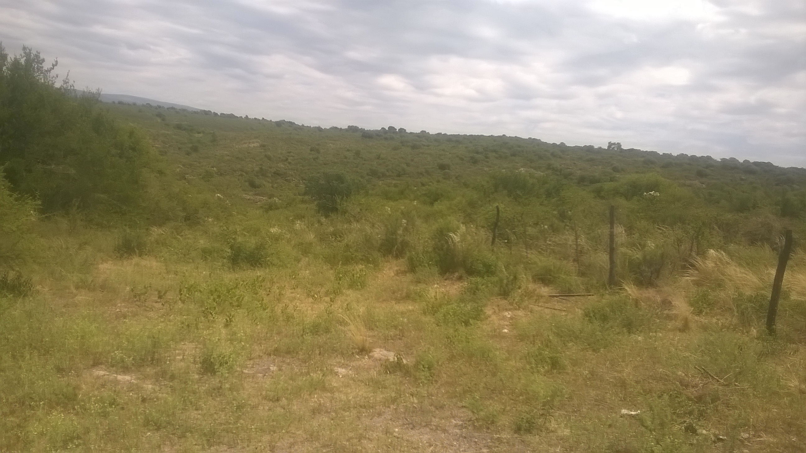 LOTES CON VISTAS A LAS SIERRAS DE CORDOBA — foto 4