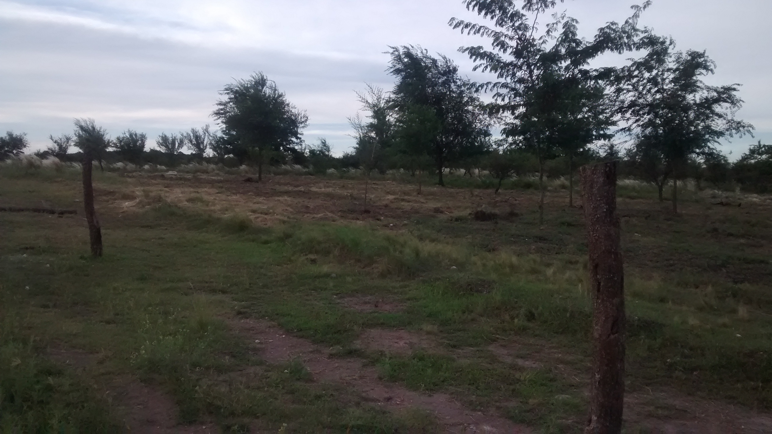 LOTE CON VISTAS A LAS SIERRAS DE CORDOBA — foto 2