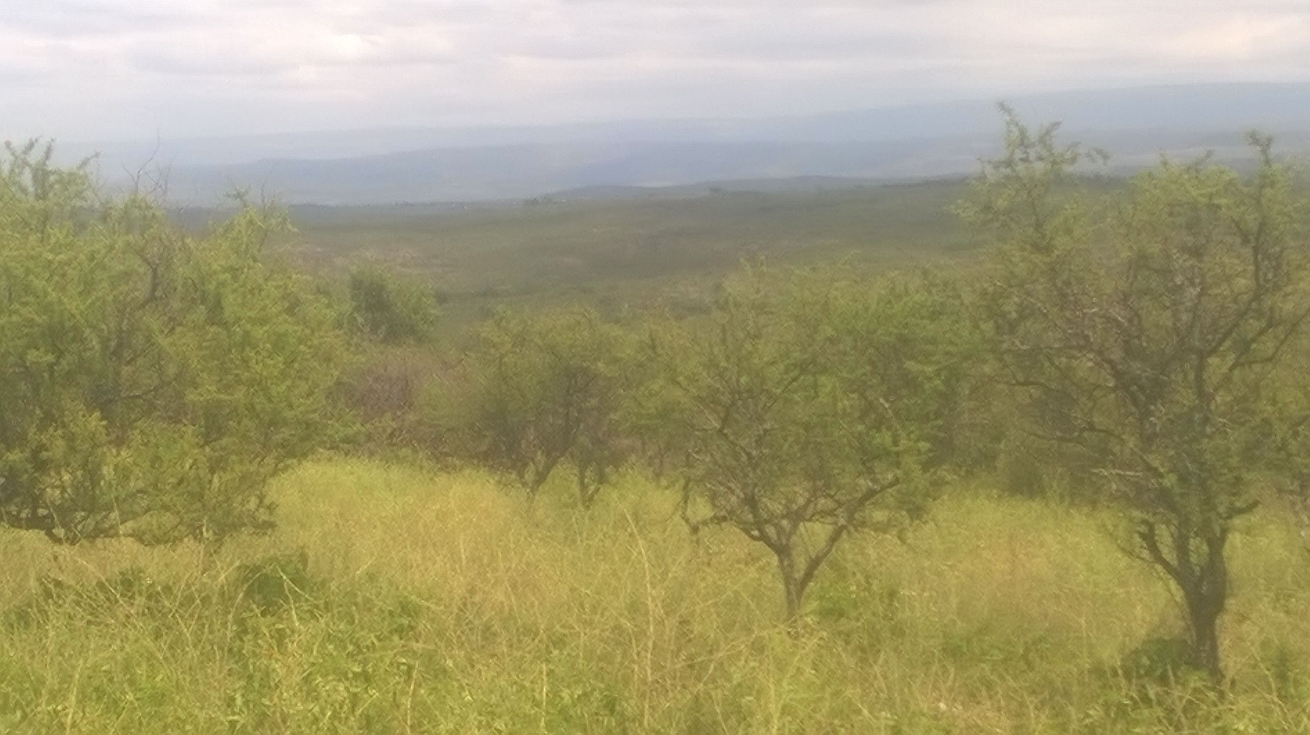 LOTE CON VISTAS A LAS SIERRAS DE CORDOBA — foto 9