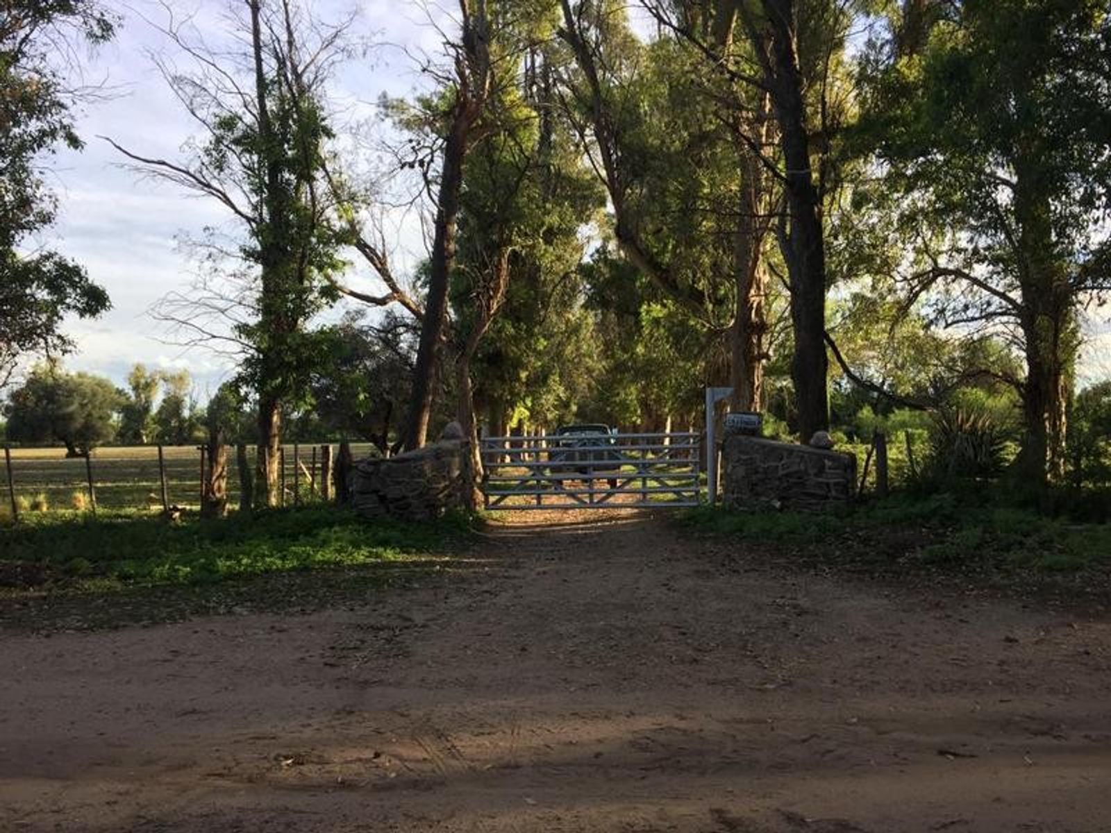 CAMPO DE 1400 HECTAREAS EN VENTA - CORDOBA - 4
