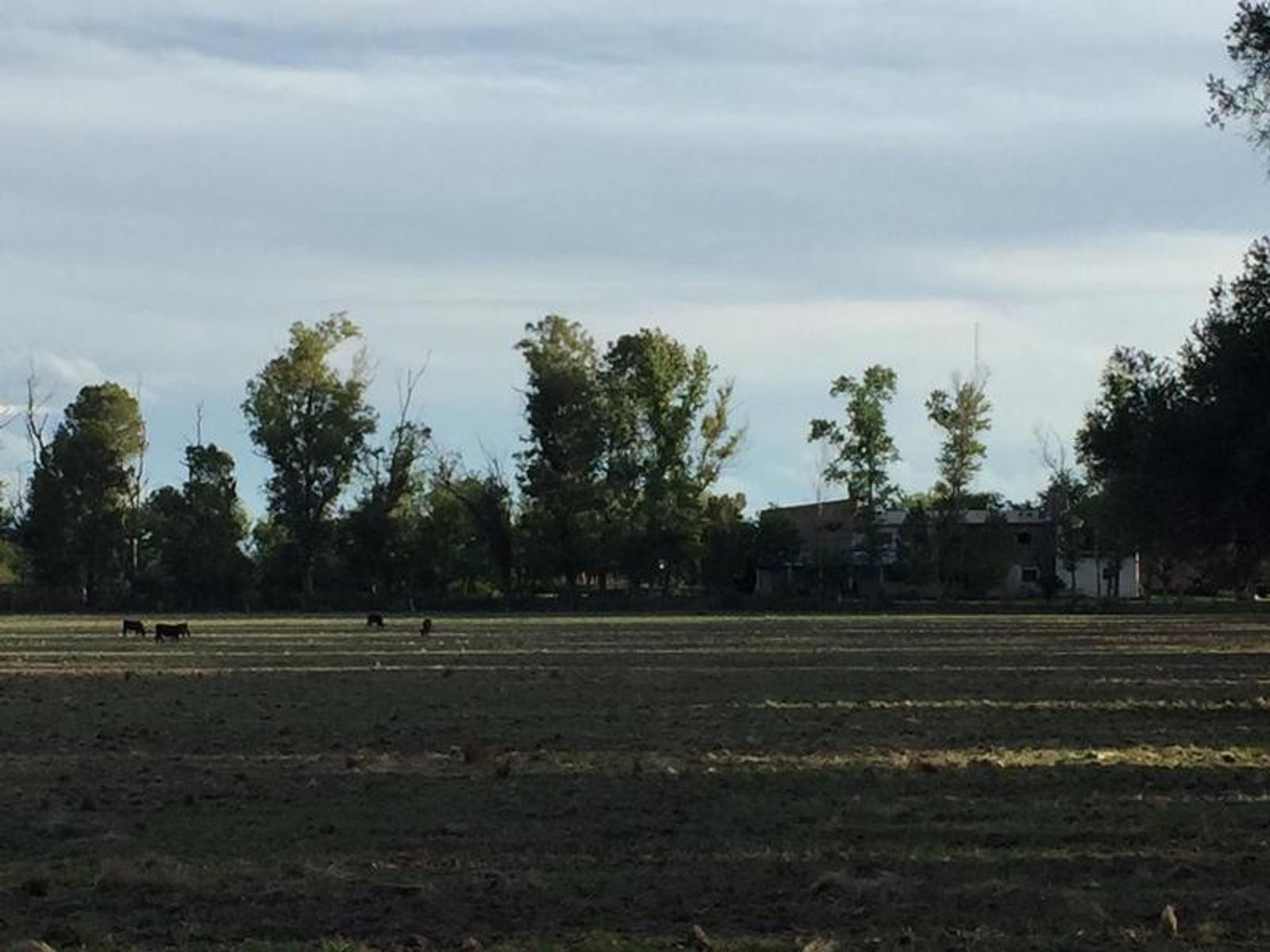 CAMPO DE 1400 HECTAREAS EN VENTA - CORDOBA - 5