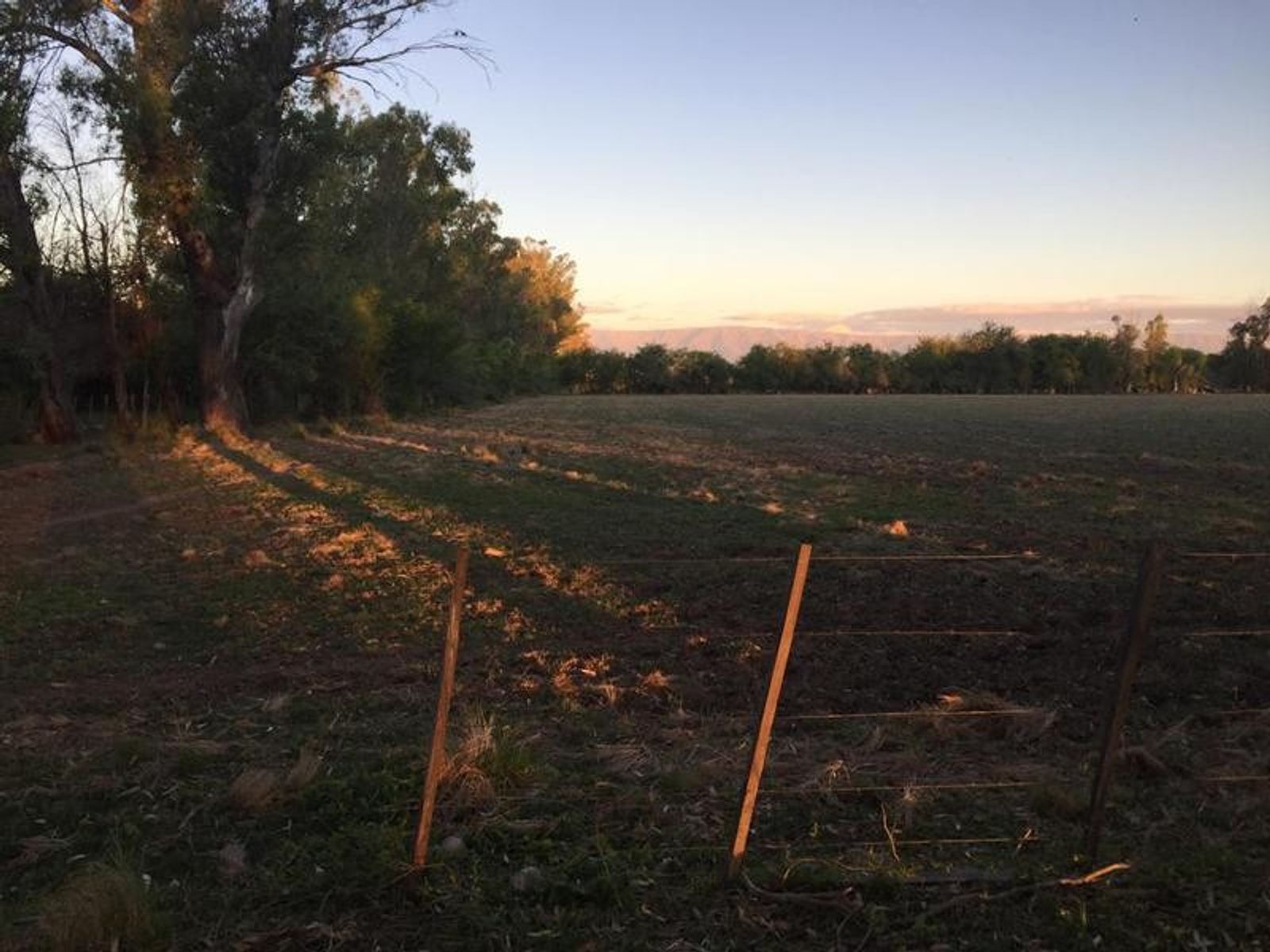 CAMPO DE 1400 HECTAREAS EN VENTA - CORDOBA - 13