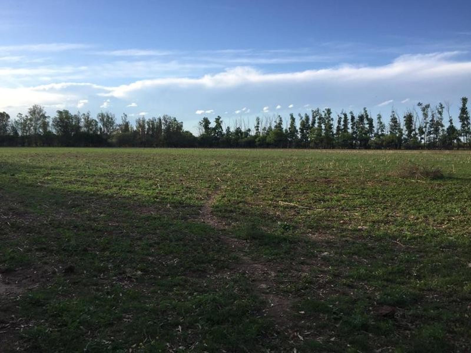 CAMPO DE 1400 HECTAREAS EN VENTA - CORDOBA - 15