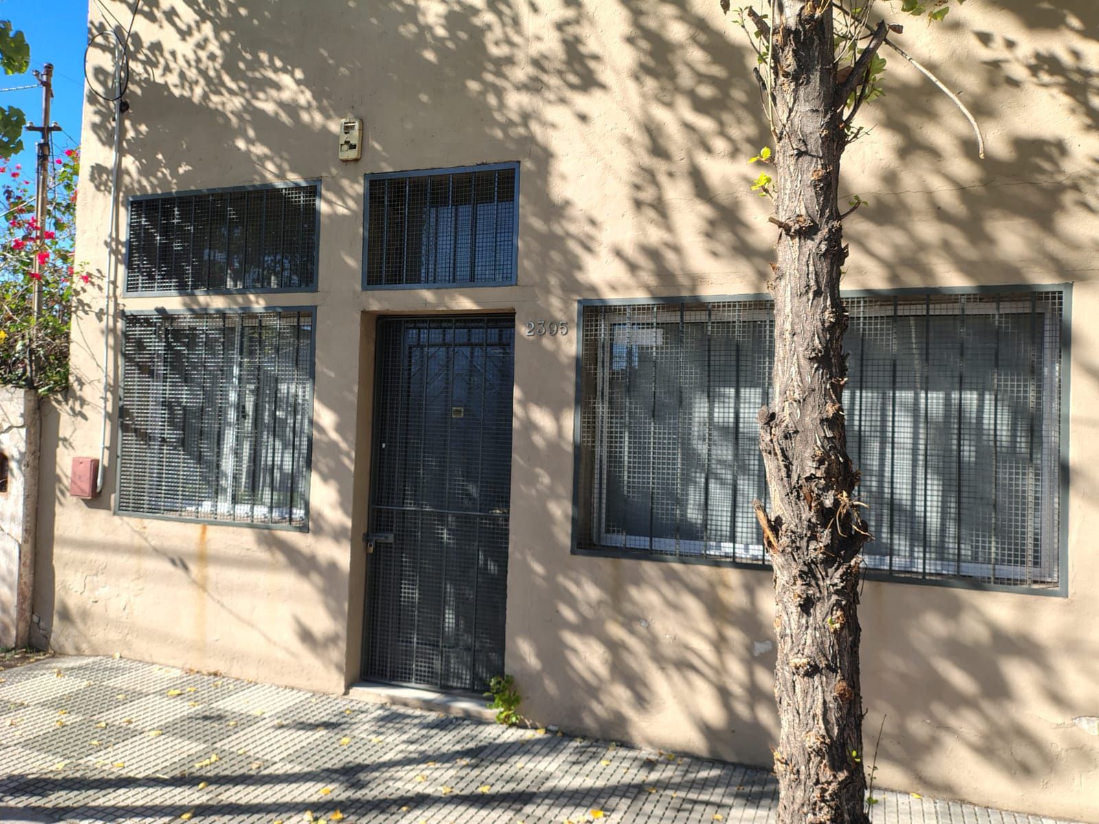 Deposito con oficinas y local en alquiler - 20