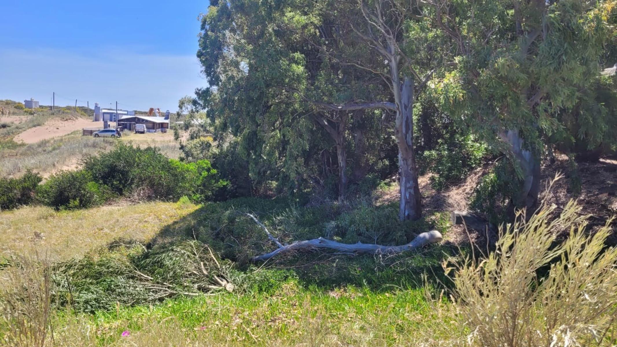 Lote en venta El Sauce Monte Hermoso FINANCIO — foto 4