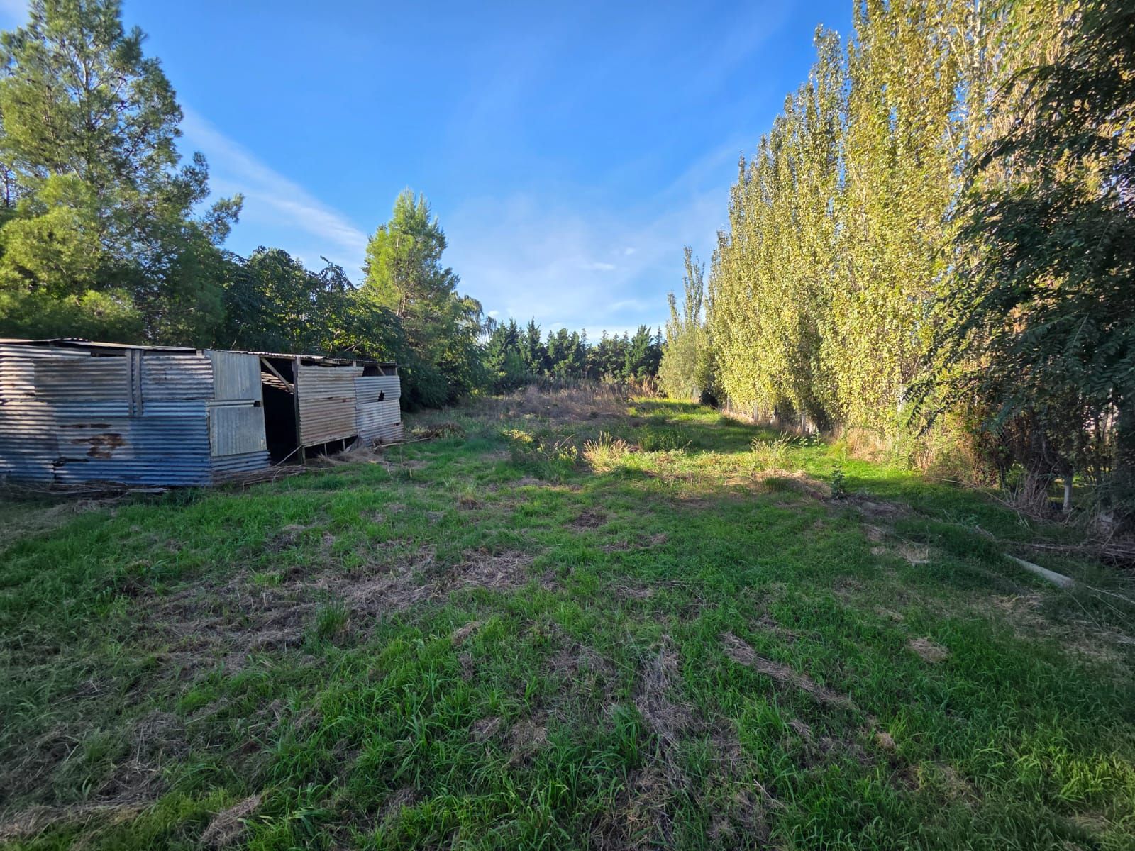 Terreno en venta Brio. Los Muñecos - 3