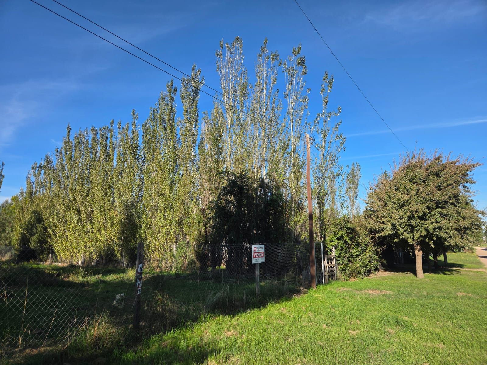 Terreno en venta Brio. Los Muñecos - 4