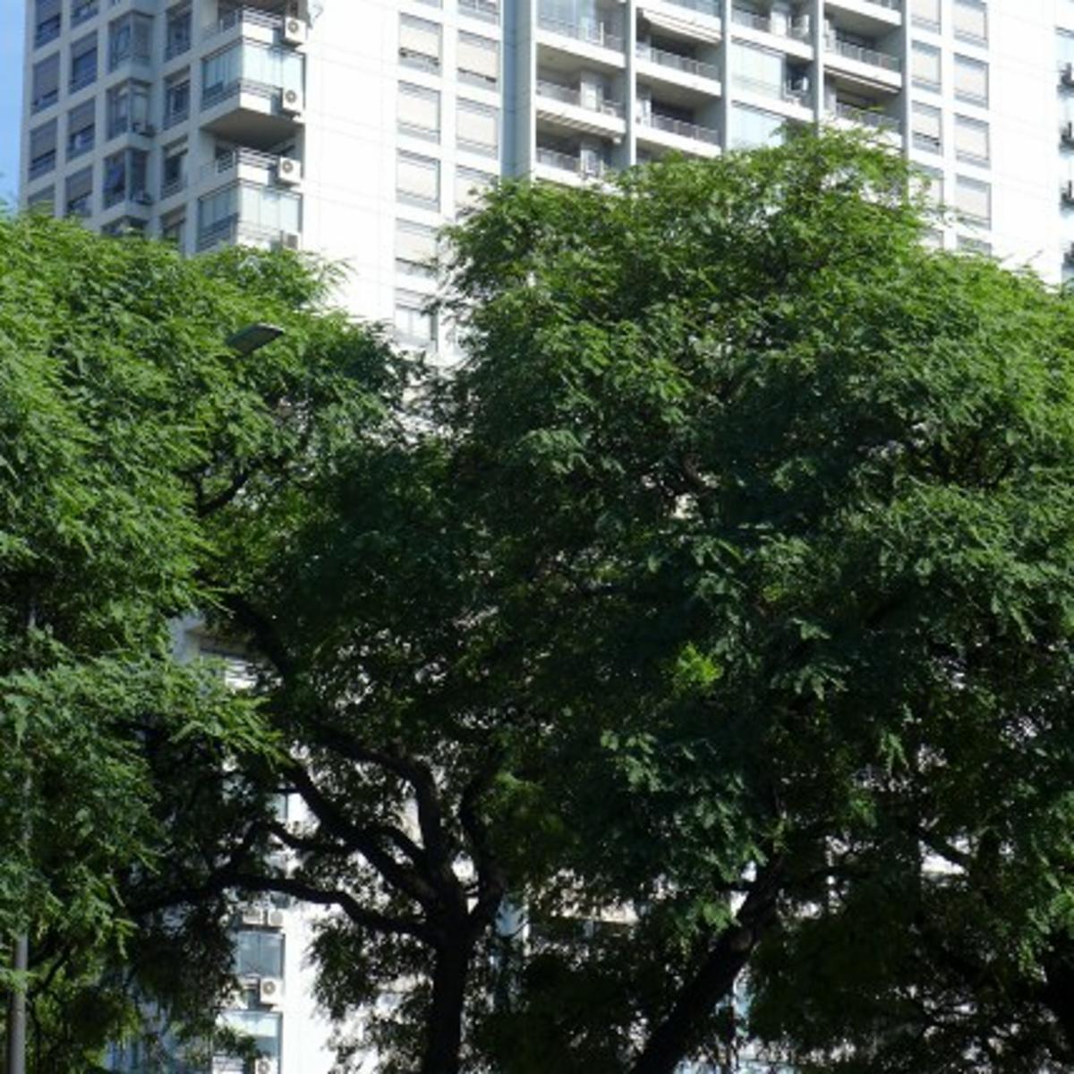 EXCLUSIVO DEPT 4 AMB, COCHERA Y DOS BAULERAS QUARTIER SINCLAIR PISO ALTO VISTA AL RIO U$S630.000 — foto 12