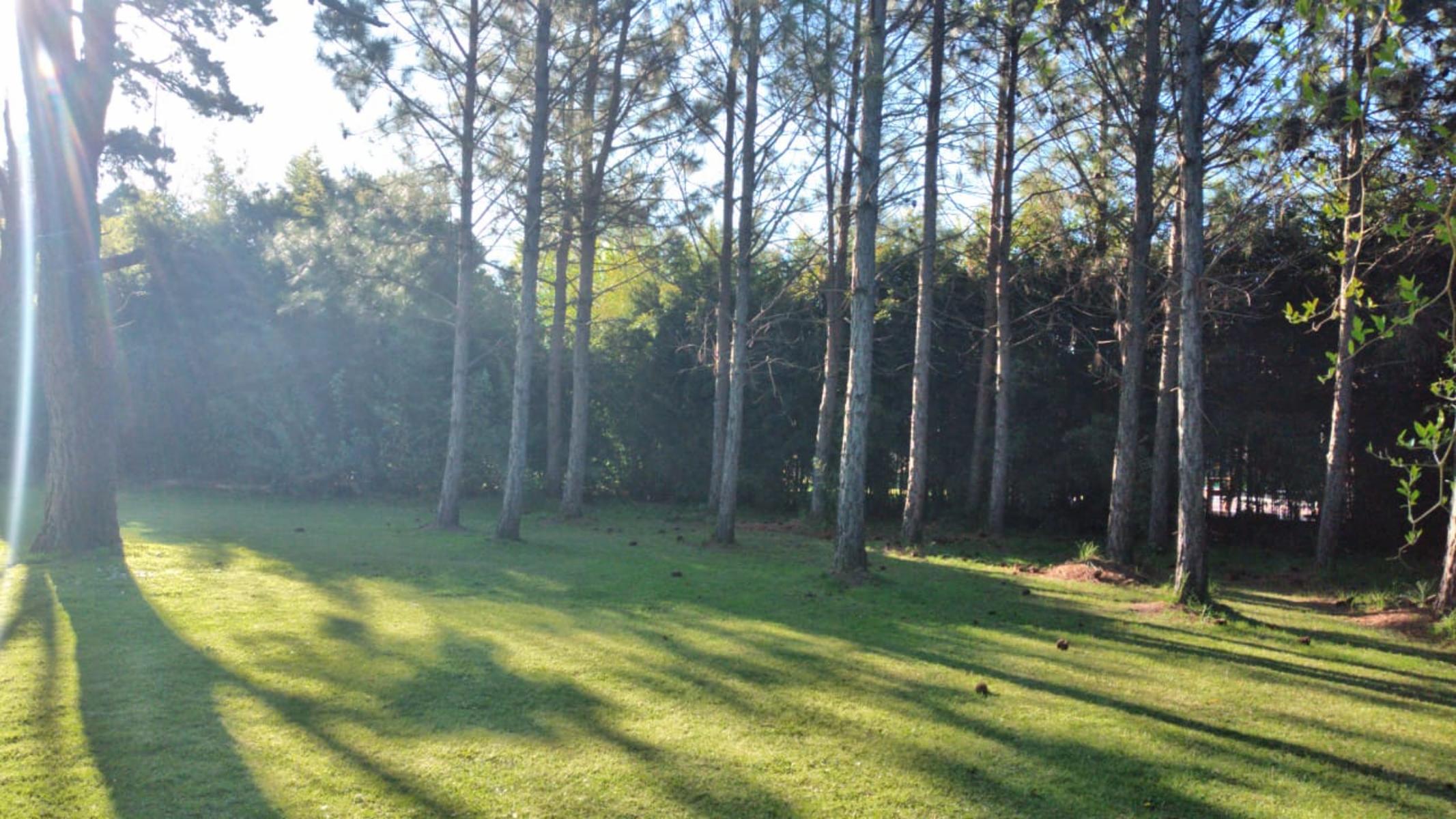 Parque Las Naciones - Guernica - Excelente propiedad — foto 7