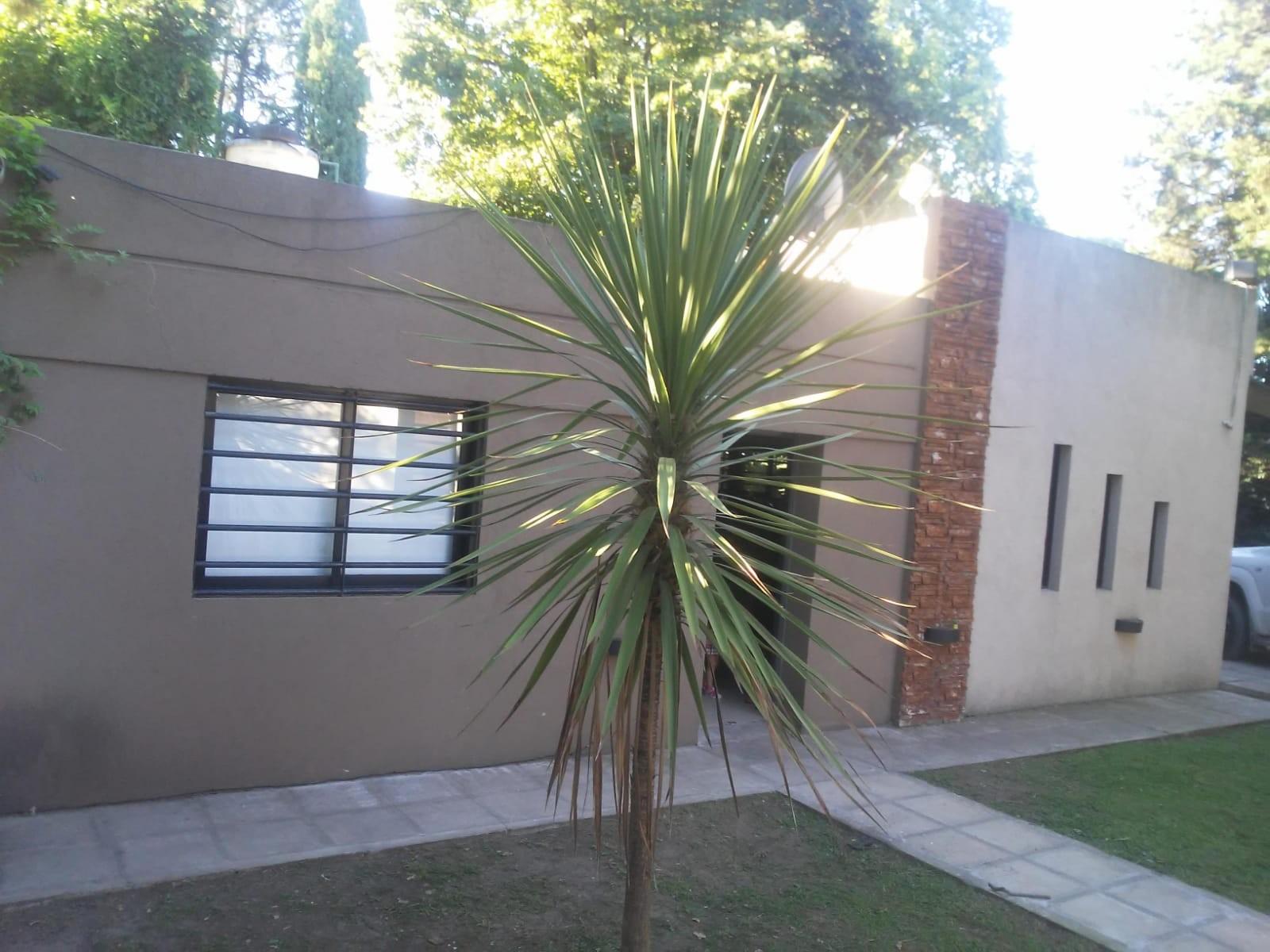 SAN VICENTE - CASAQUINTA — foto 7