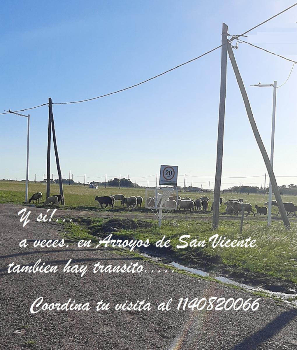 URBANIZACION PROTEGIDA &quotARROYOS DE SAN VICENTE&quot