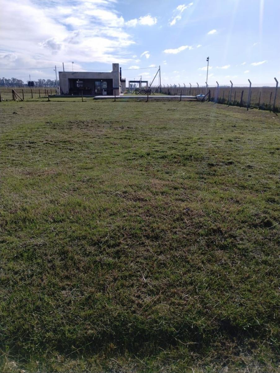 SAN VICENTE - LOTE EN VENTA EN EL VIEJO OMBU — foto 2