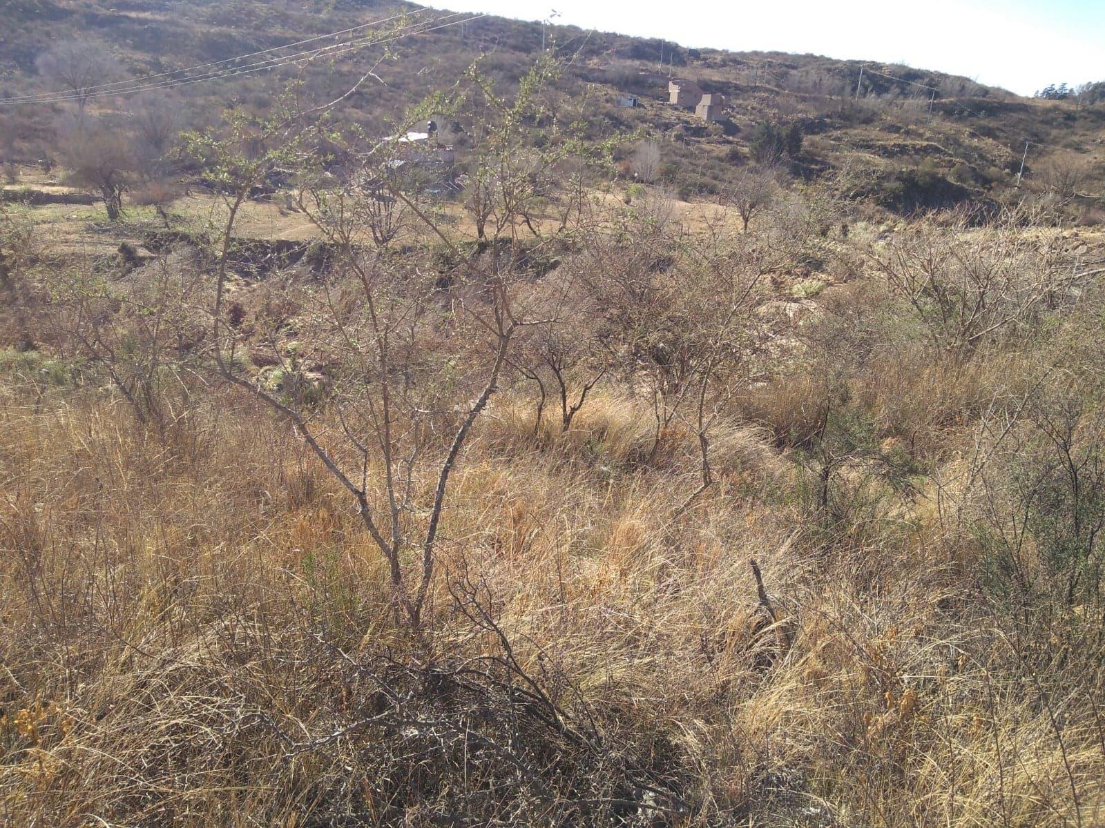 HERMOSO LOTE CON COSTA LA RIO LOS CHORRILLOS CARLOS PAZ SIERRAS — foto 5