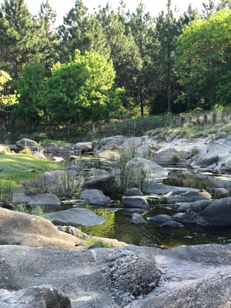 HERMOSOS LOTES EN FLOR SERRANA A 4 KM DE TANTI UNA JOYA EN LAS SIERRAS CORDOBESAS NO TE PIERDAS DE TENER TU LOTE — foto 12
