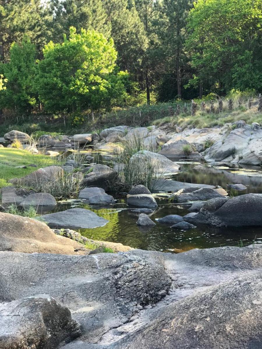 HERMOSOS LOTES EN FLOR SERRANA A 4 KM DE TANTI UNA JOYA EN LAS SIERRAS CORDOBESAS NO TE PIERDAS DE TENER TU LOTE — foto 13