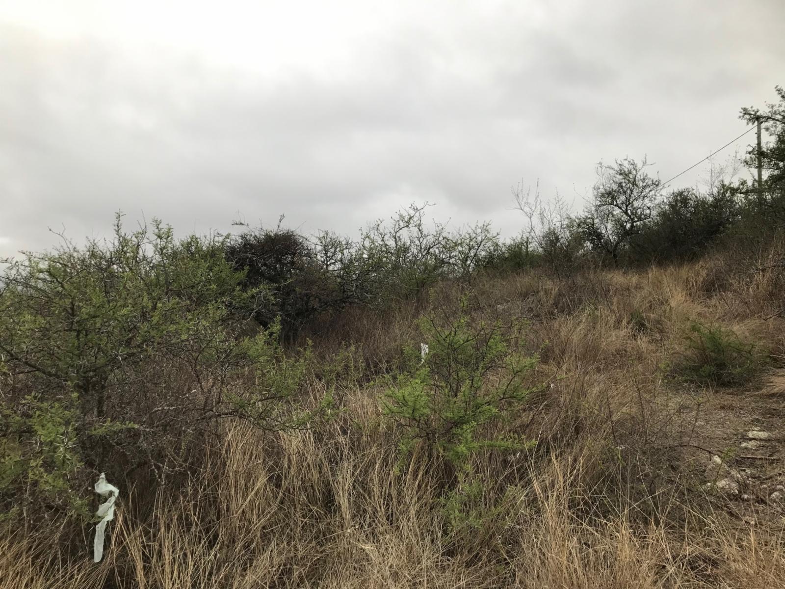 Lotes estancia vieja cerca monumento Indio Bamba y Rio — foto 10