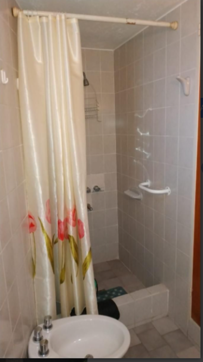 DEPARTAMENTO DE DOS DORMITORIOS , PLANTA BAJA . CON COCHERA . CENTRO — foto 4
