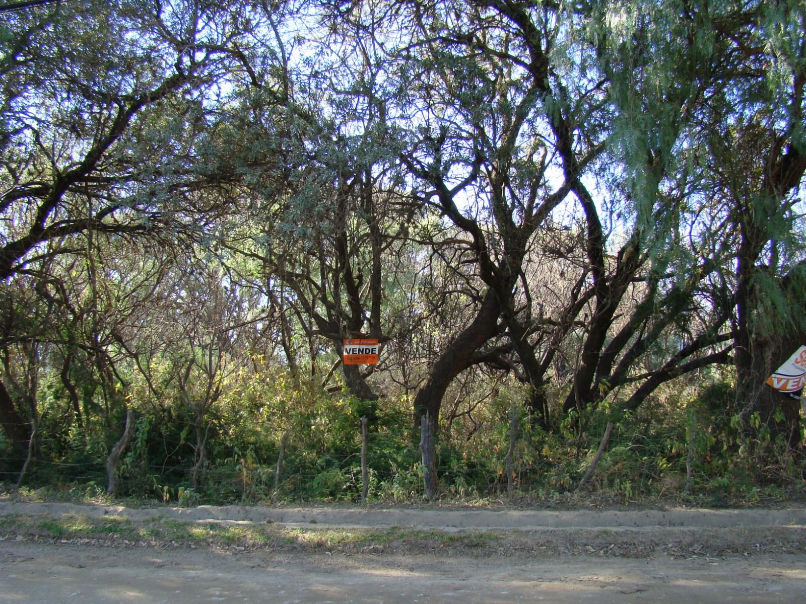 LOTES EN VENTA EN LOMA BOLA — foto 5