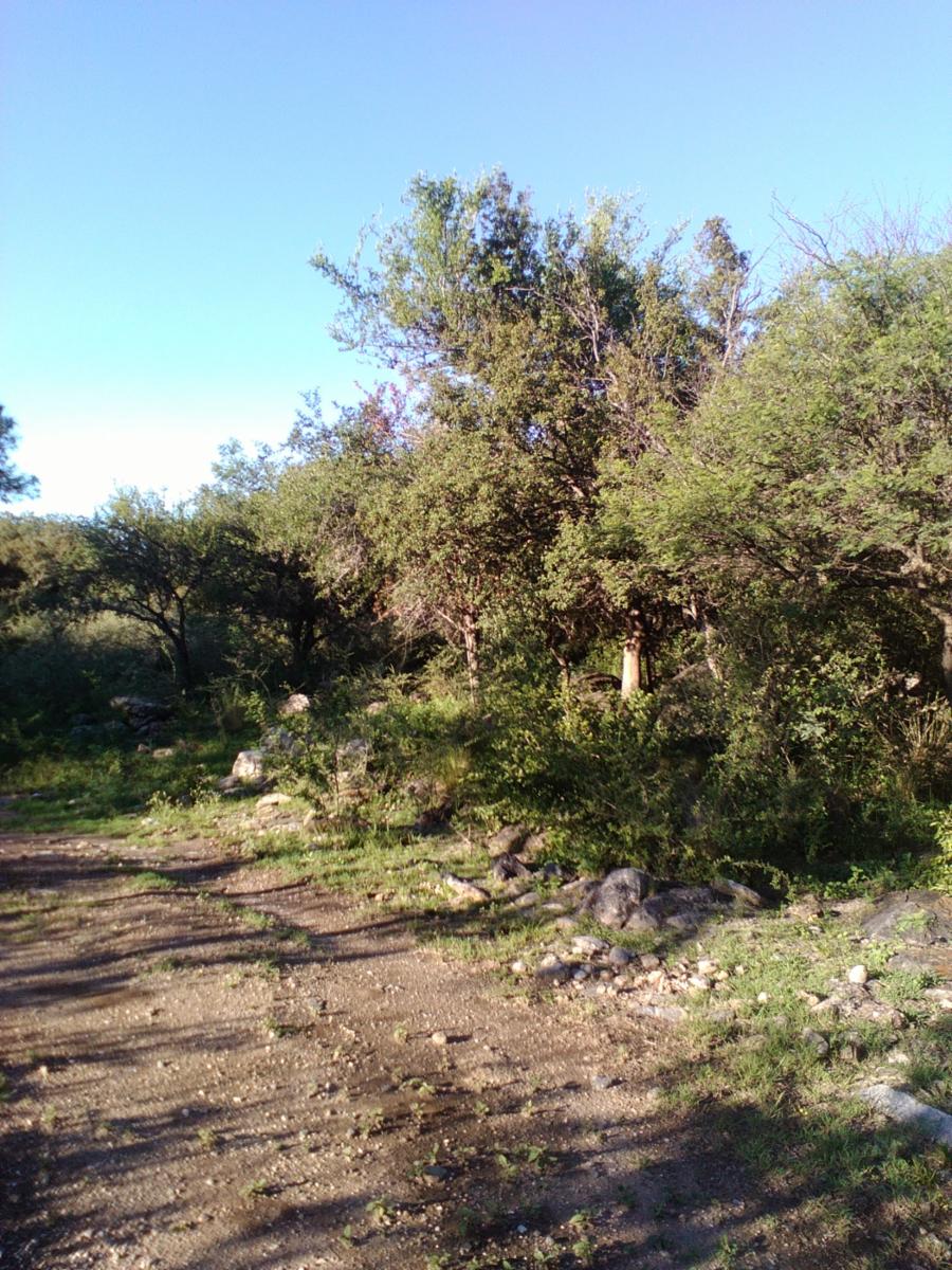 OPORTUNIDAD VENTA DE TERRENO EN LA TRAVESÍA- LUYABA — foto 3