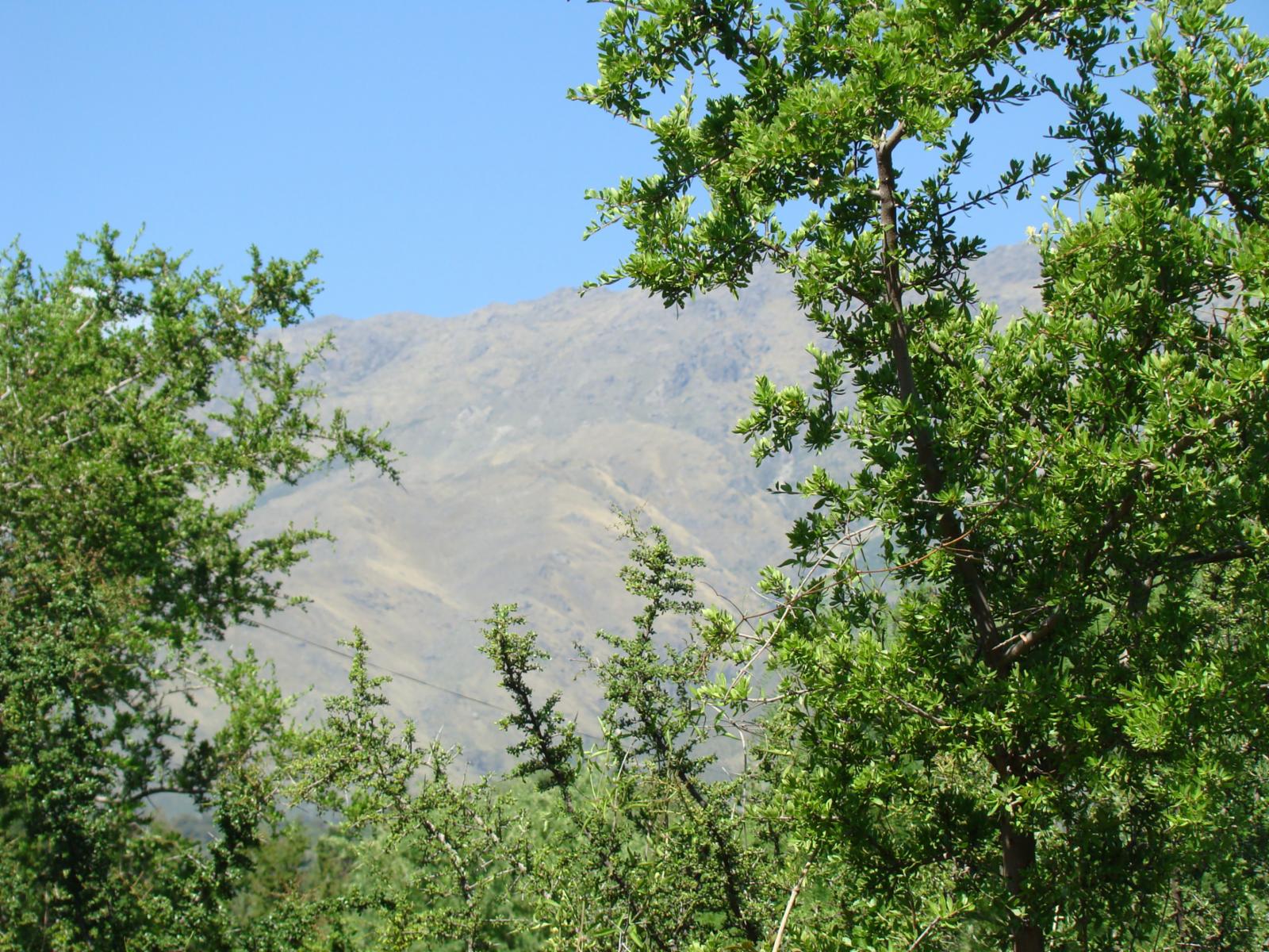 LOTES EN VENTA EN TRASLASIERRA LA POBLACIÓN — foto 2