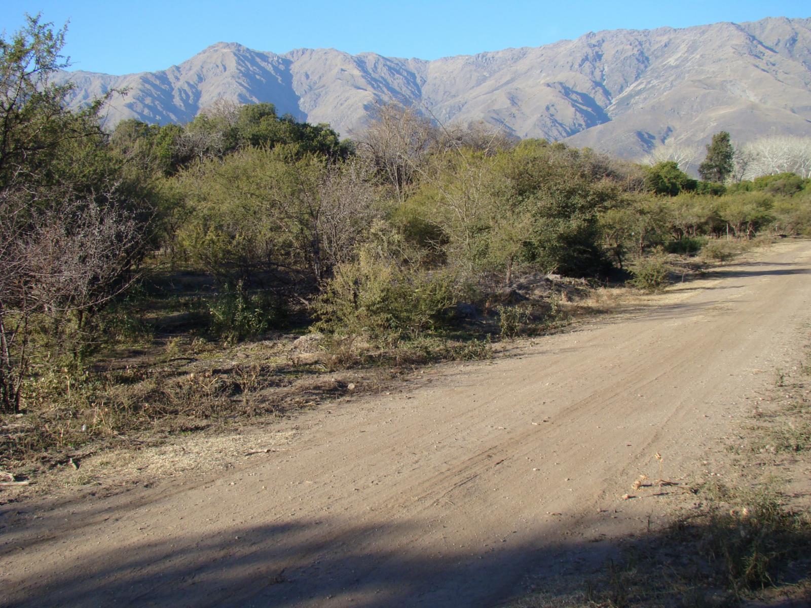 LOTES EN TRASLASIERRA LA POBLACIÓN — foto 2