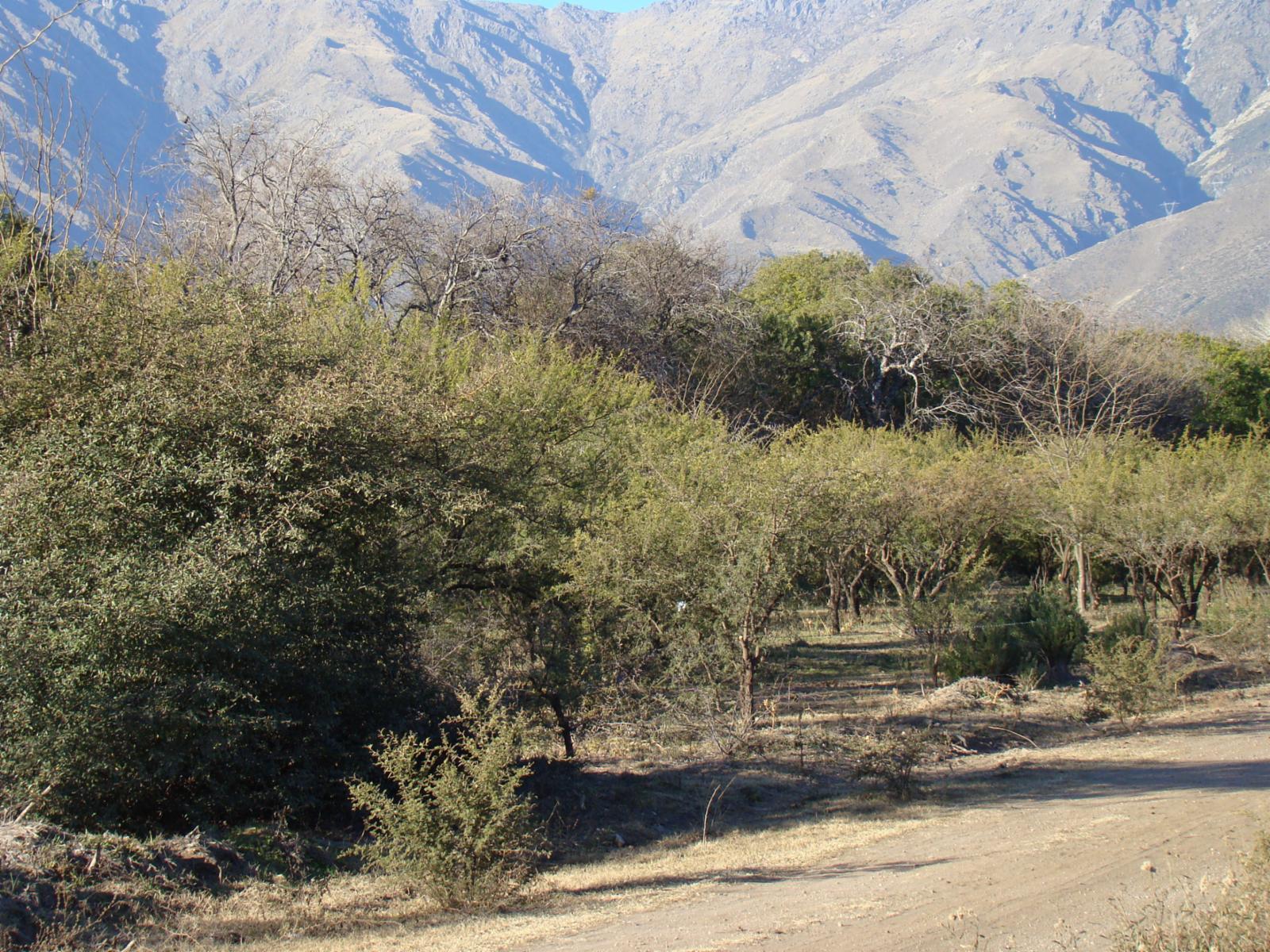 LOTES EN TRASLASIERRA LA POBLACIÓN — foto 4