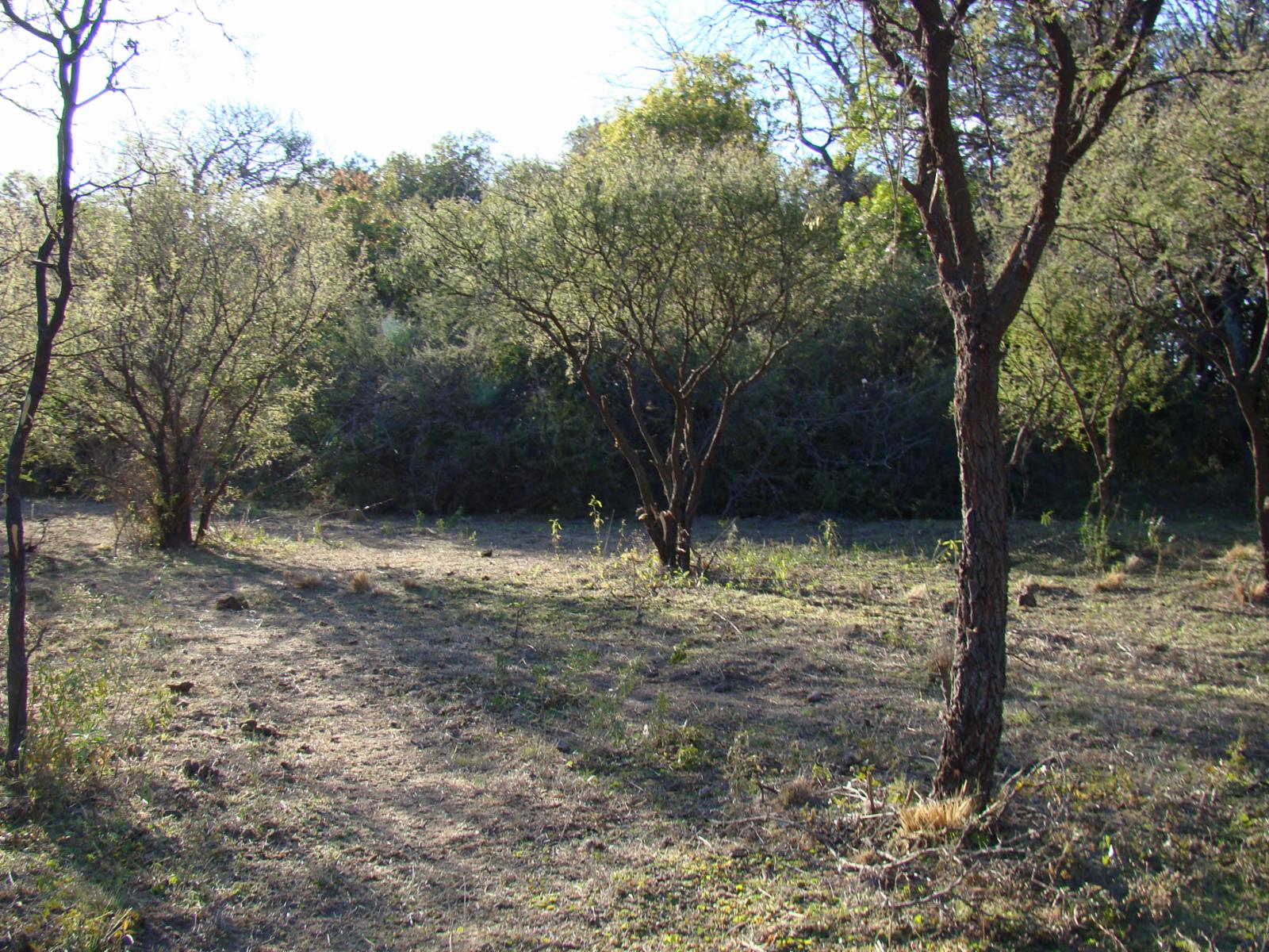 TERRENO EN VENTA EN LA POBLACIÓN TRASLASIERRA — foto 3