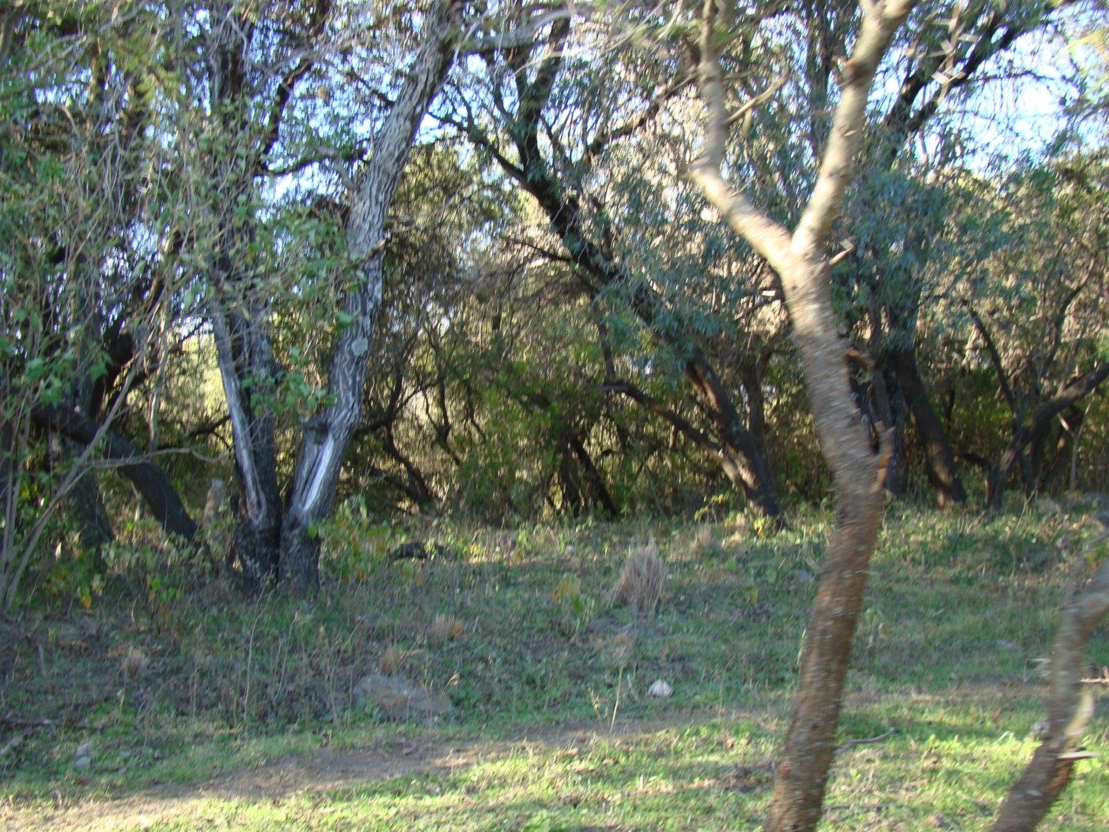 TERRENO EN VENTA EN LA POBLACIÓN TRASLASIERRA — foto 4