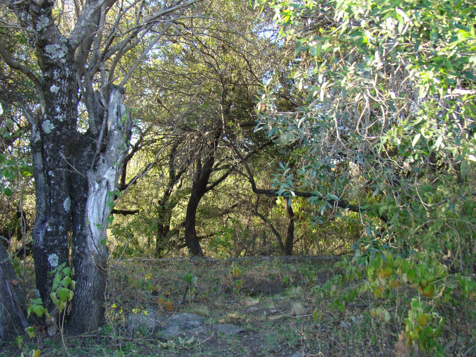 TERRENO EN VENTA EN LA POBLACIÓN TRASLASIERRA — foto 5