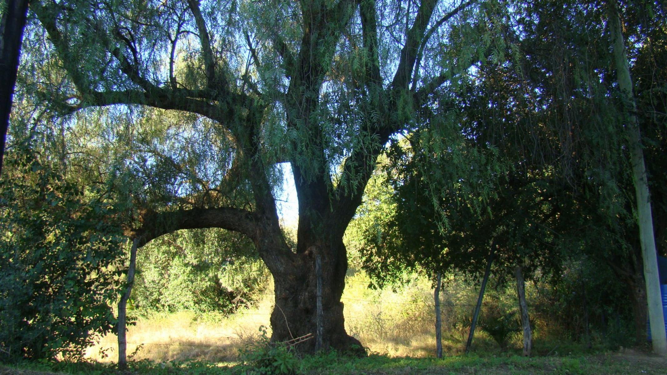 LOTE EN VENTA LA POBLACIÓN TRASLASIERRA