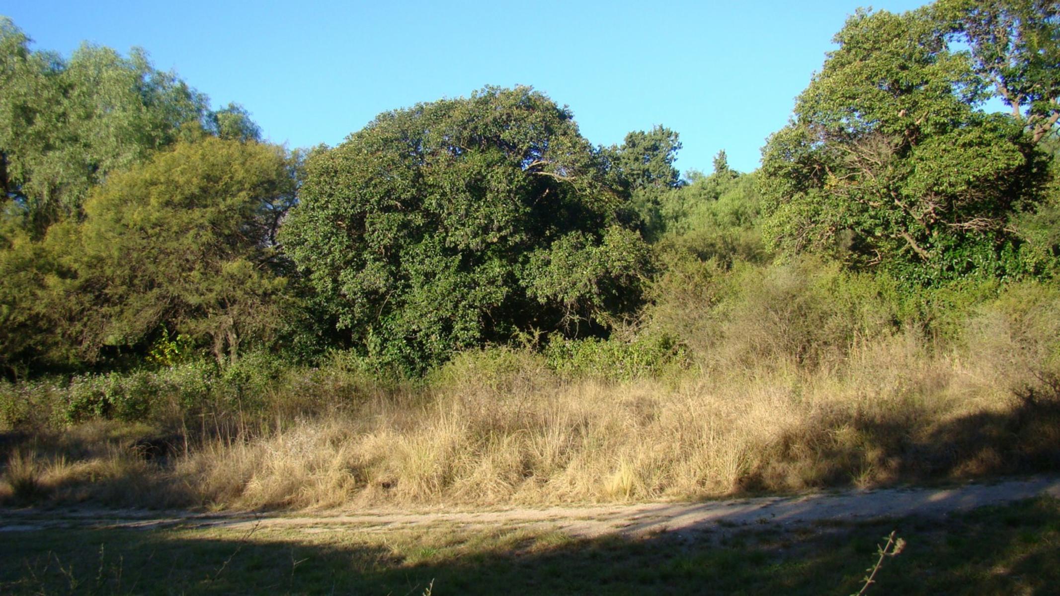 LOTE EN VENTA LA POBLACIÓN TRASLASIERRA — foto 2