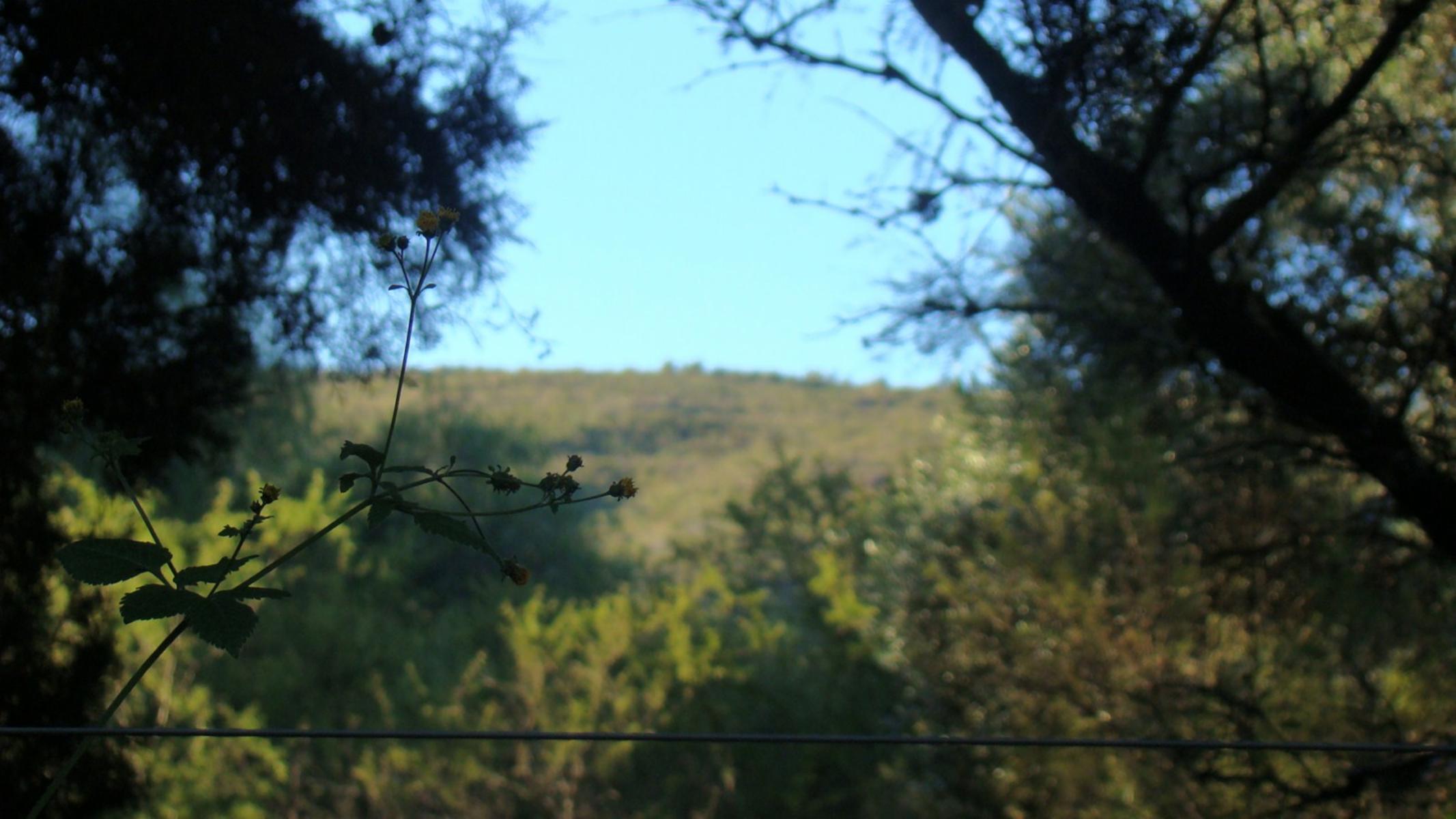 LOTE EN VENTA LA POBLACIÓN TRASLASIERRA — foto 6
