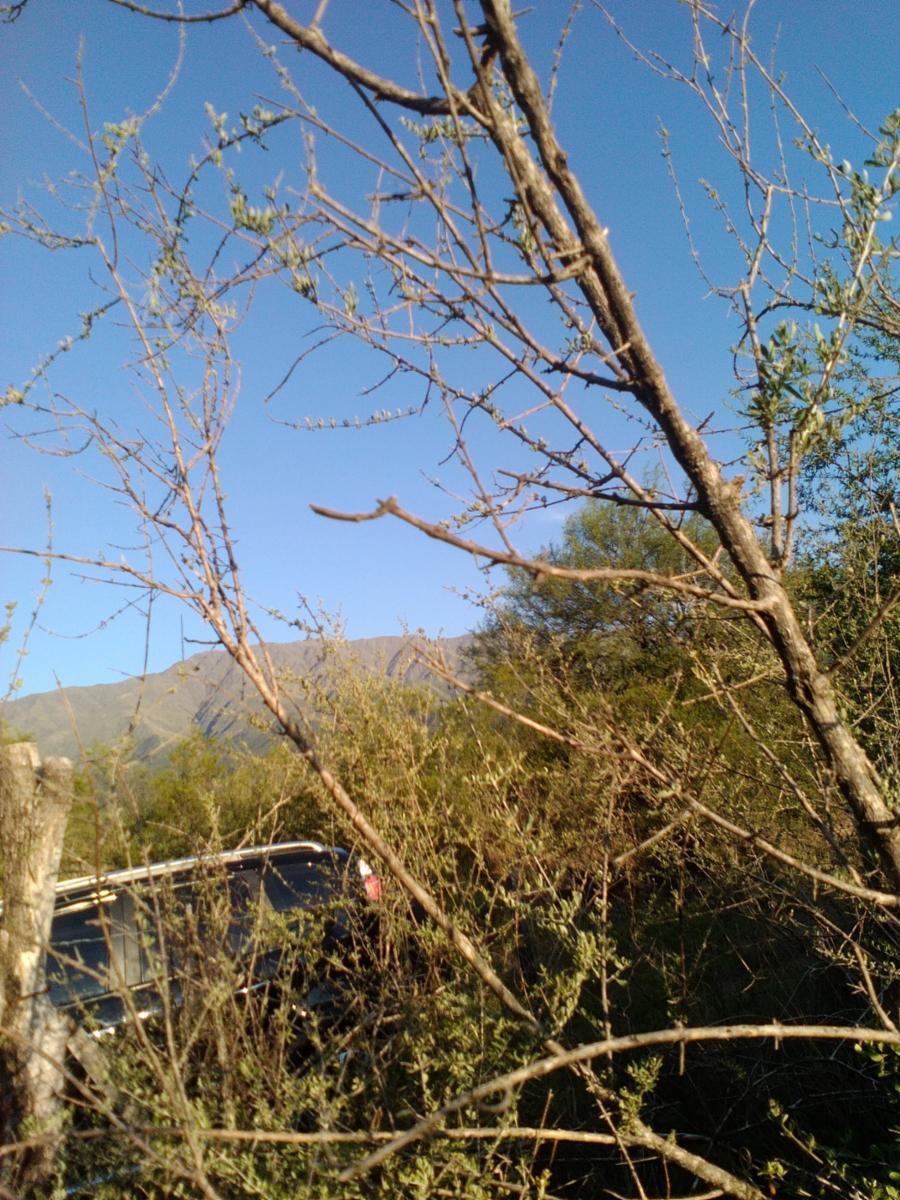 LOTES EN VENTA EN LA TRAVESÍA- LUYABA