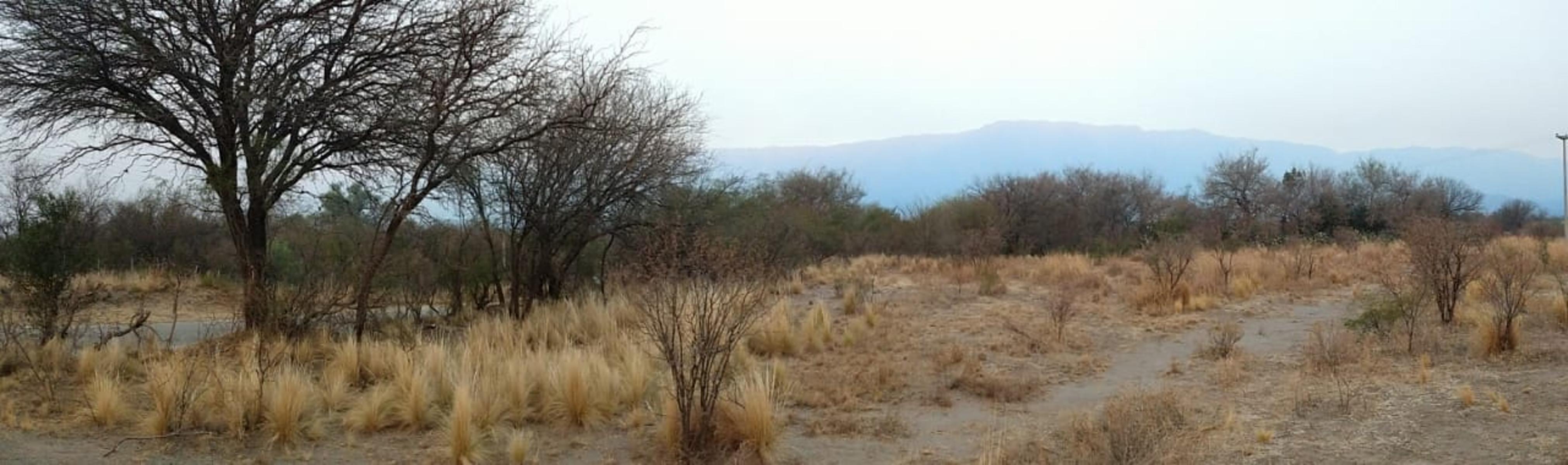 LOTES EN VENTA EN LA TRAVESÍA- LUYABA TRASLASIERRA — foto 2