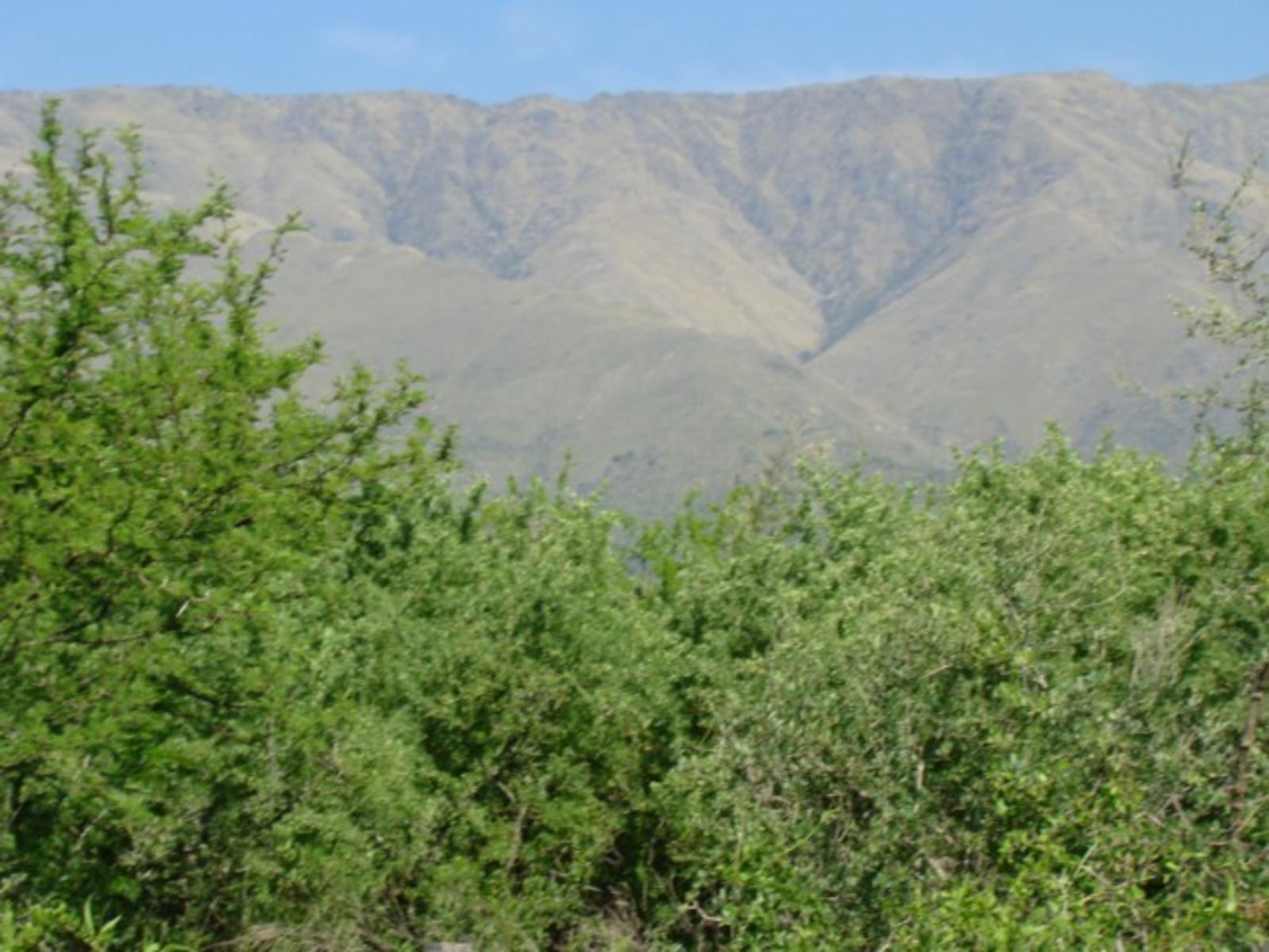 LOTE EN VENTA EN LA POBLACIÓN TRASLASIERRA — foto 2