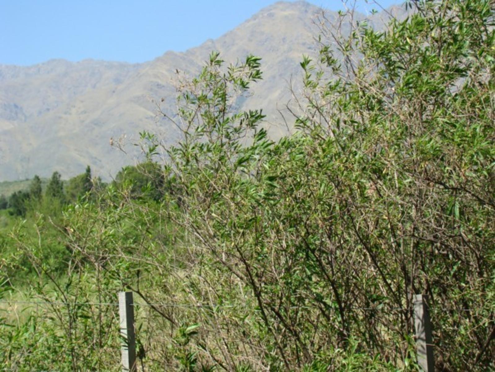 LOTE EN VENTA EN LA POBLACIÓN TRASLASIERRA — foto 4