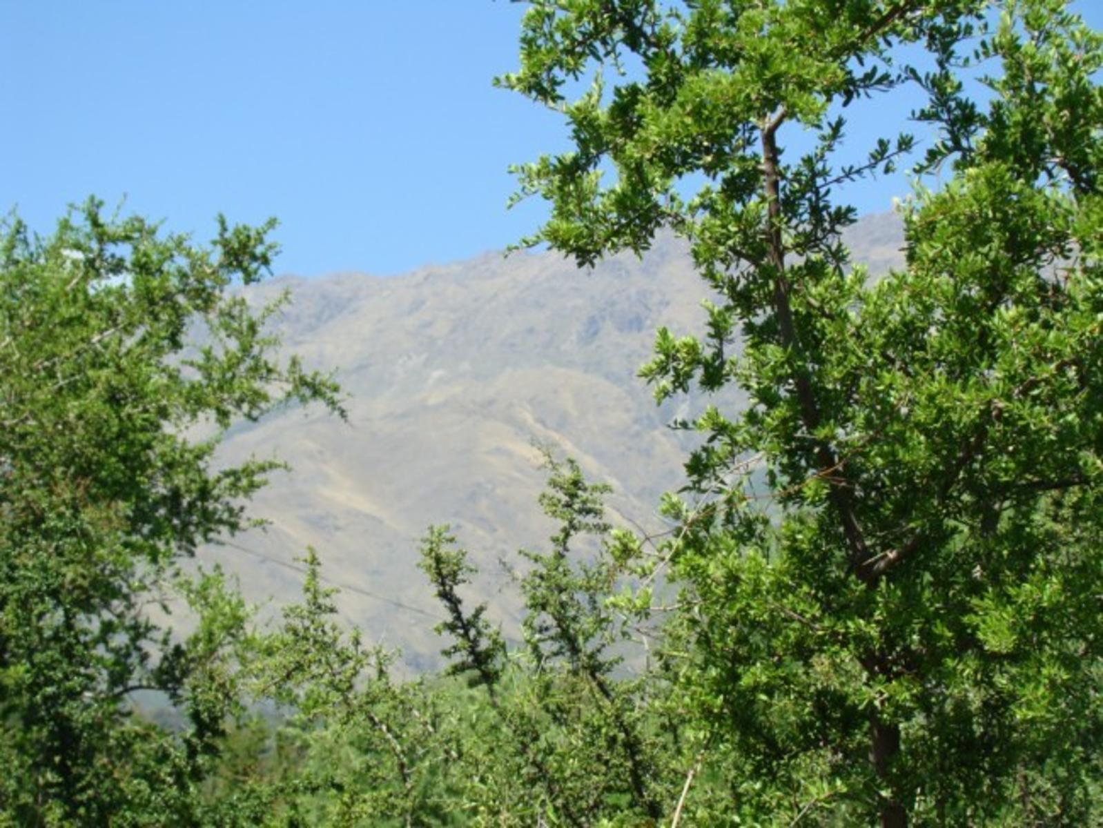 LOTE EN VENTA EN LA POBLACIÓN TRASLASIERRA — foto 5