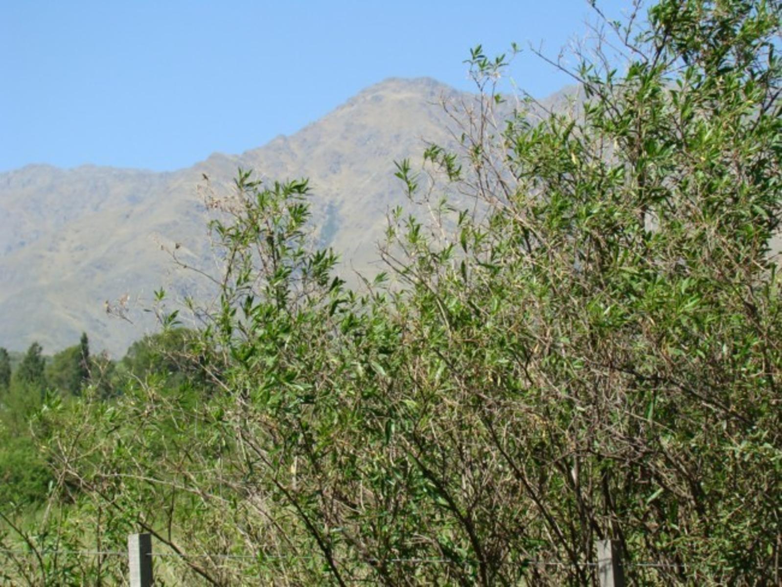LOTE EN VENTA EN LA POBLACIÓN TRASLASIERRA — foto 6
