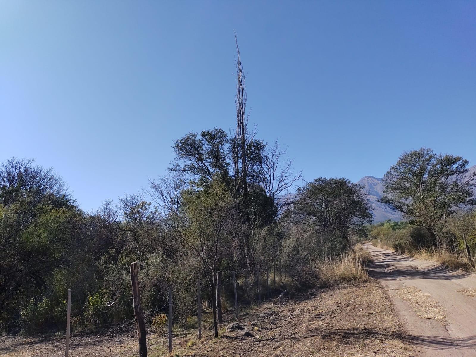 VENTA DE LOTES EN SAN JAVIER TRASLASIERRA — foto 2