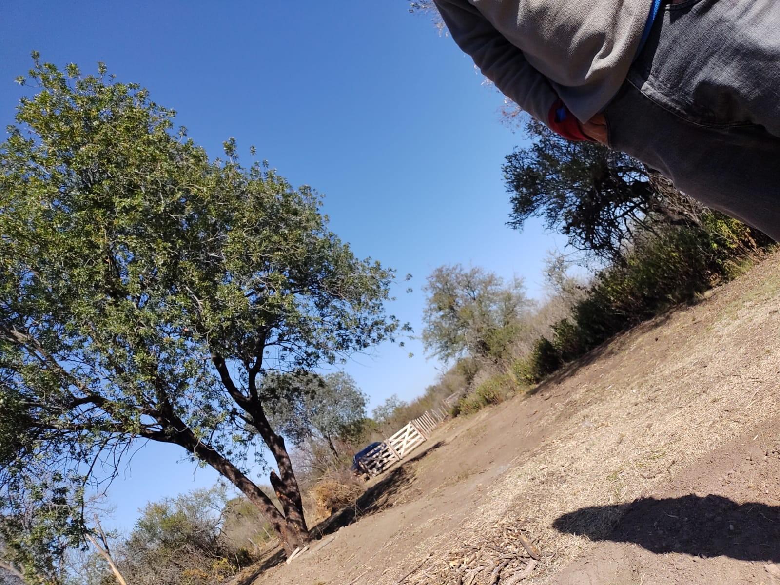 VENTA DE LOTES EN SAN JAVIER TRASLASIERRA — foto 5