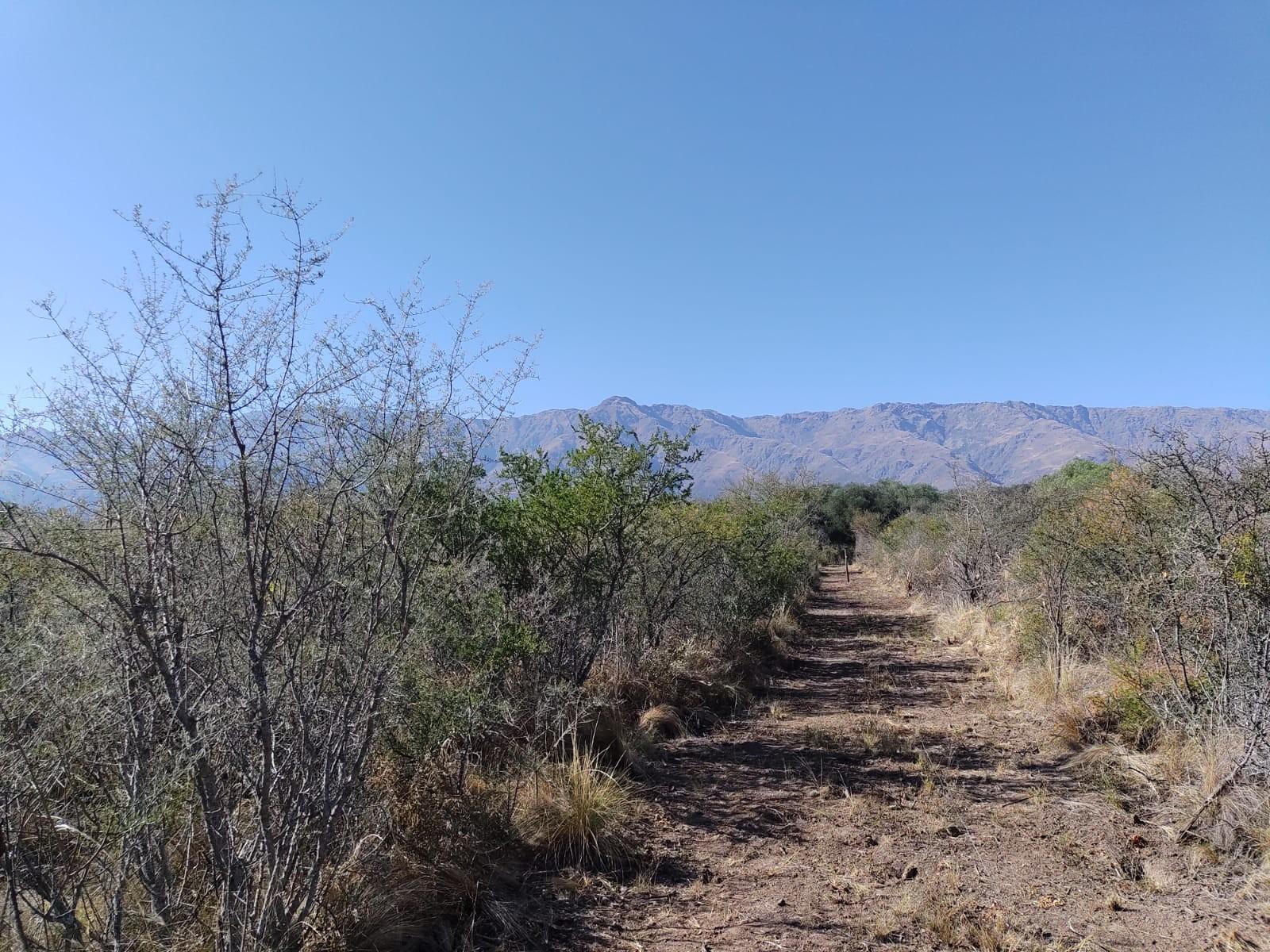 VENTA DE LOTES EN SAN JAVIER TRASLASIERRA — foto 7