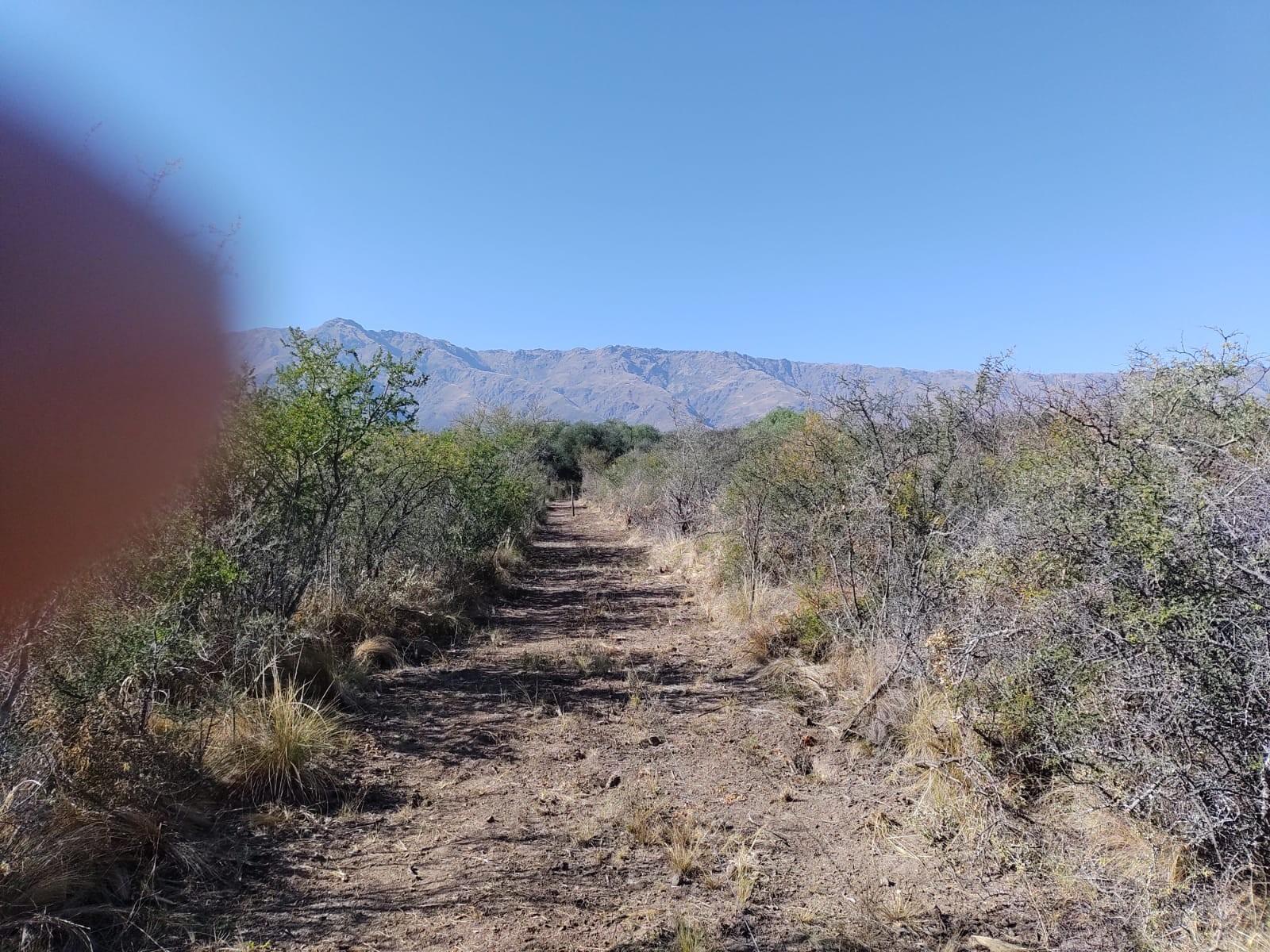 VENTA DE LOTES EN SAN JAVIER TRASLASIERRA — foto 8